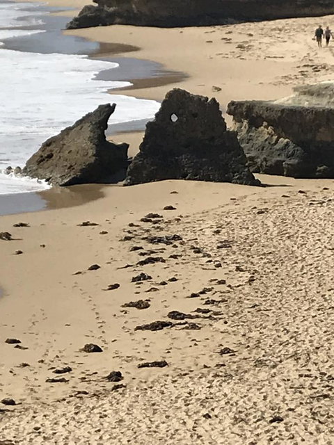 Sunsets On Martyrs Beach House - Ocean Views - Renee 41