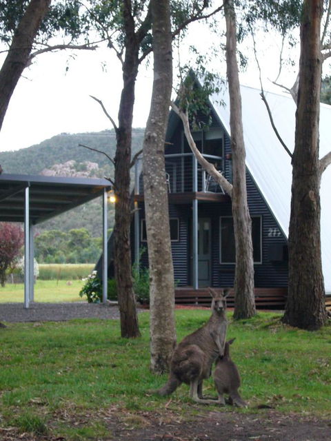 The A-Frame - Internet Find 1