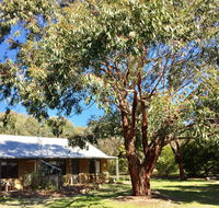 Grampians Pomonal Cottages - Internet Find