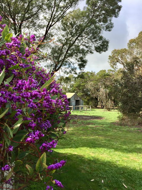 Grampians Pomonal Cottages - Internet Find 21