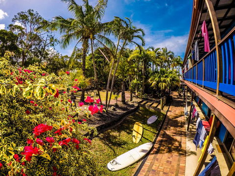 Cool Bananas Backpackers - Internet Find 17