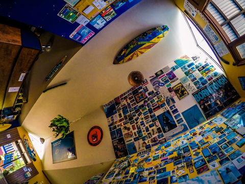 Cool Bananas Backpackers - Internet Find 29