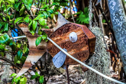 Cool Bananas Backpackers - Internet Find 24