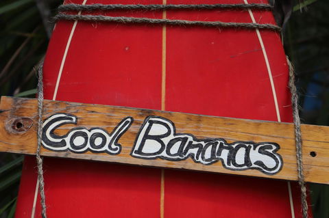 Cool Bananas Backpackers - Internet Find 41