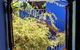 Cool Bananas Backpackers - thumb 10