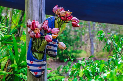 Cool Bananas Backpackers - Internet Find 26