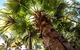 Cool Bananas Backpackers - thumb 14