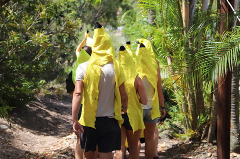 Cool Bananas Backpackers - Internet Find 19