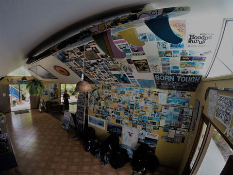 Cool Bananas Backpackers - Internet Find 31