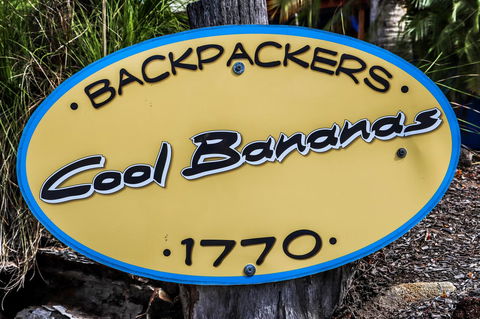 Cool Bananas Backpackers - Internet Find 38