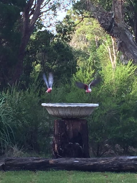 Castaways Moreton Island - Swimm 8