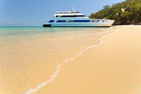 Castaways Moreton Island - Swimm 3