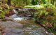 Noosa Hinterland Retreat - thumb 12