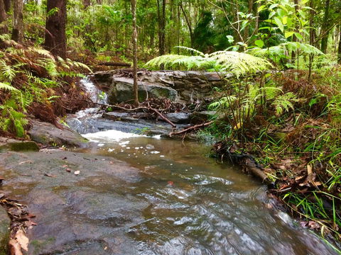 Noosa Hinterland Retreat - Internet Find 12