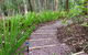Noosa Hinterland Retreat - thumb 13
