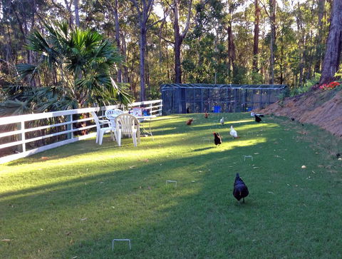 Noosa Hinterland Retreat - Internet Find 11