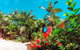 Boutique Bungalows - thumb 14
