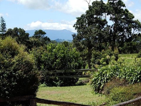 Malanda Manor Guesthouse - Renee 3