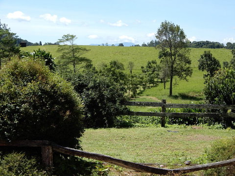 Malanda Manor Guesthouse - Renee 17