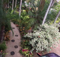 Casuarina - Internet Find