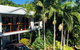 Casuarina - thumb 1