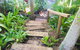 Casuarina - thumb 16