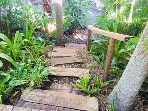 Casuarina - Internet Find 16