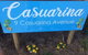 Casuarina - thumb 14
