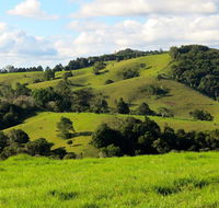 Maleny Springs Farm - Internet Find