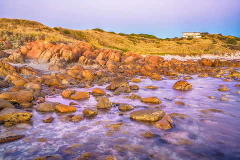 Porky Beach Retreat - King Island Escapes - Internet Find 9