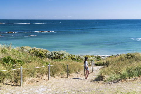 Porky Beach Retreat - King Island Escapes - Internet Find 14