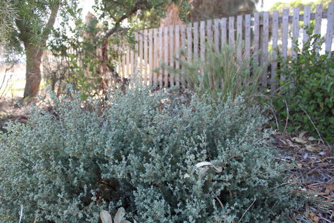 12 Apostles Cottages - Swimm 2