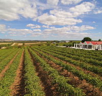 1837 Barossa Luxury Vineyard Cottages - Petrol Stations