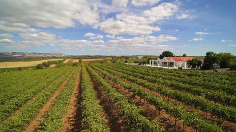1837 Barossa Luxury Vineyard Cottages - Petrol Stations 0
