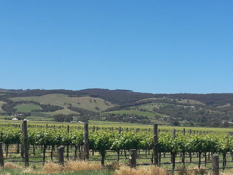 A Victor Harbour Retreat Aldinga Tony's Music Cottage - Renee 3