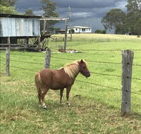 AMs Farm Stay - Renee