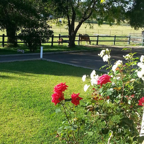 Appin Homestay B & B - Swimm 3