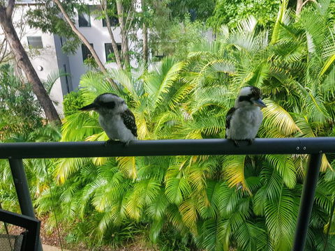Baden 45 - Rainbow Shores, Beachside Unit, Aircon, Swimming Pool, Tennis Court - Renee 3