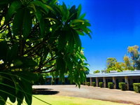 Balonne River Motor Inn