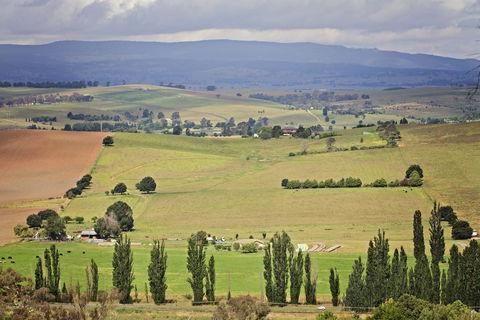 Bathurst Goldfields Motel - Renee 2