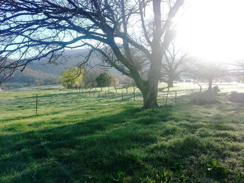 Bay Creek Guest House - Internet Find 0