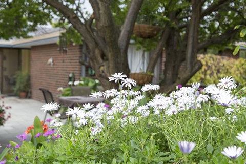 Bed And Breakfast In Perth - Internet Find 1