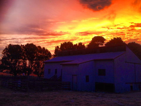 Beggs Farmstay B&B - Petrol Stations 1