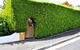 Belton Apartments - The Studio - thumb 0