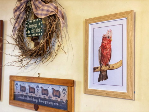 Bendleby Ranges - Renee 1