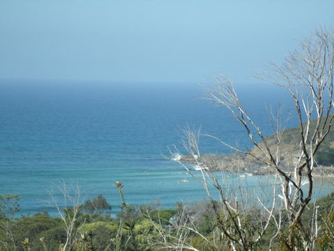 Benji's By The Sea - Swimm 0