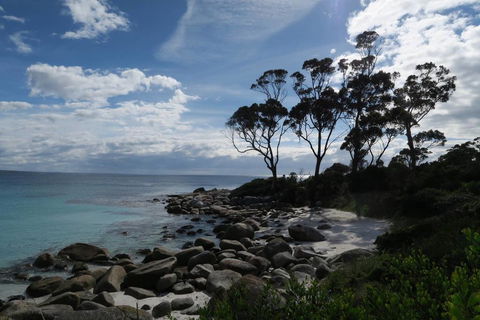 Binalong Bay Beach Shack - Renee 0