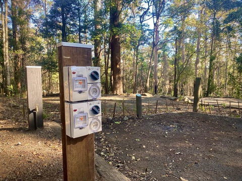 Binna Burra Rainforest Campsite - Renee 1