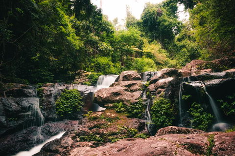 Binna Burra Rainforest Campsite - Renee 3