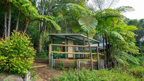 Binna Burra Rainforest Campsite - Renee 0